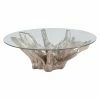 Best Sale 🛒 Dimond Home Round Coffee Tables ELK Lighting Teak Root Coffee Table 🌟 -Coffee Tables Sale Store masterELI4179