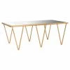 Coupon π Rectangle Coffee Tables Safavieh Arlene Coffee Table π 2 Coupon π Rectangle Coffee Tables Safavieh Arlene Coffee Table π -Coffee Tables Sale Store masterSAV9190